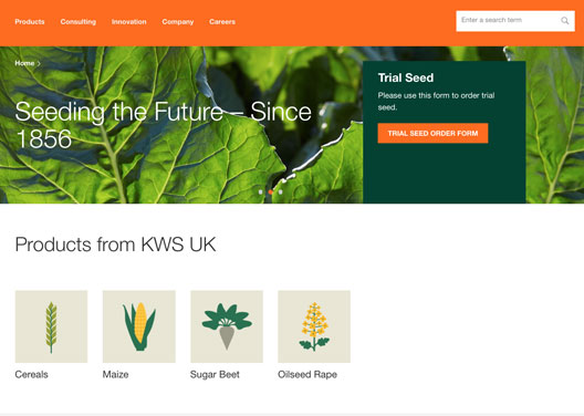 KWS crop breeding